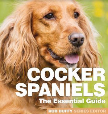 Cocker Spaniels The Essential Guide