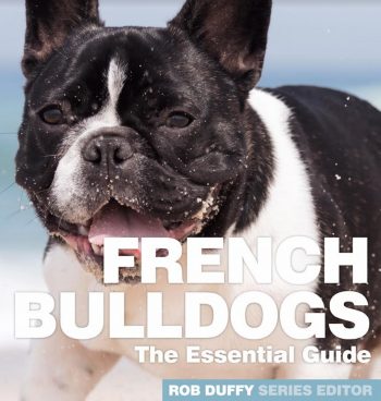 French Bulldogs The Essential Guide