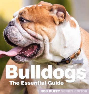 Bulldogs The Essential Guide