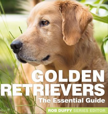 Golden Retrievers The Essential Guide