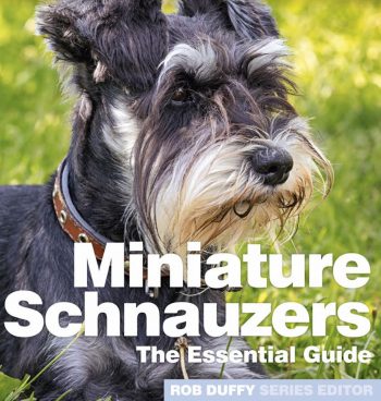Miniature Schnauzers The Essential Guide