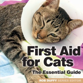 First Aid For Cats The Essential Guide