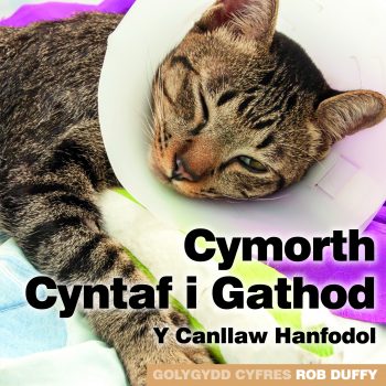 Cymorth Cyntaf I Gathod Y Canllaw Hanfodol