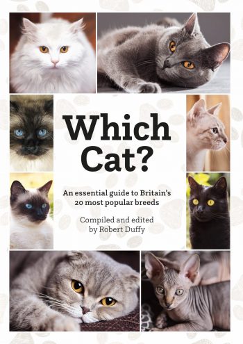 Which Cat? An Essential Guide To Britain’s 20 Most Popular Breeds