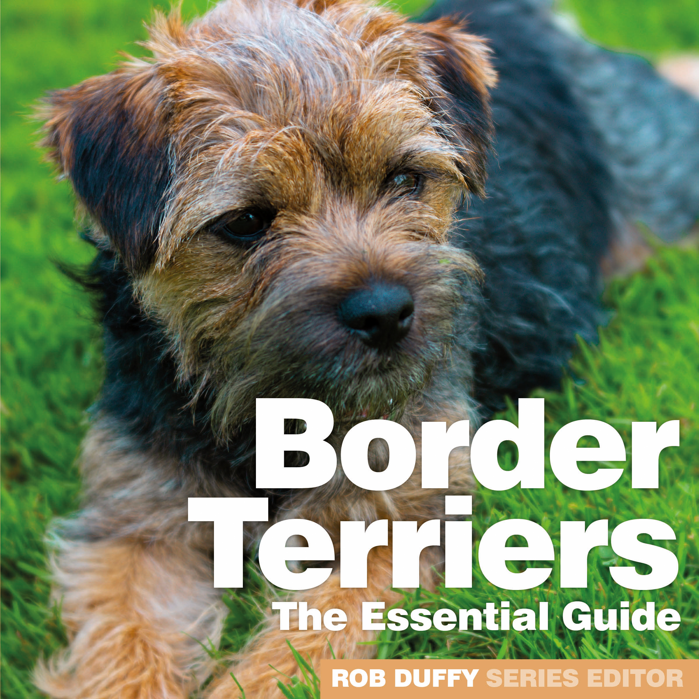 D15_Border Terriers - The Essential Guide_COVER