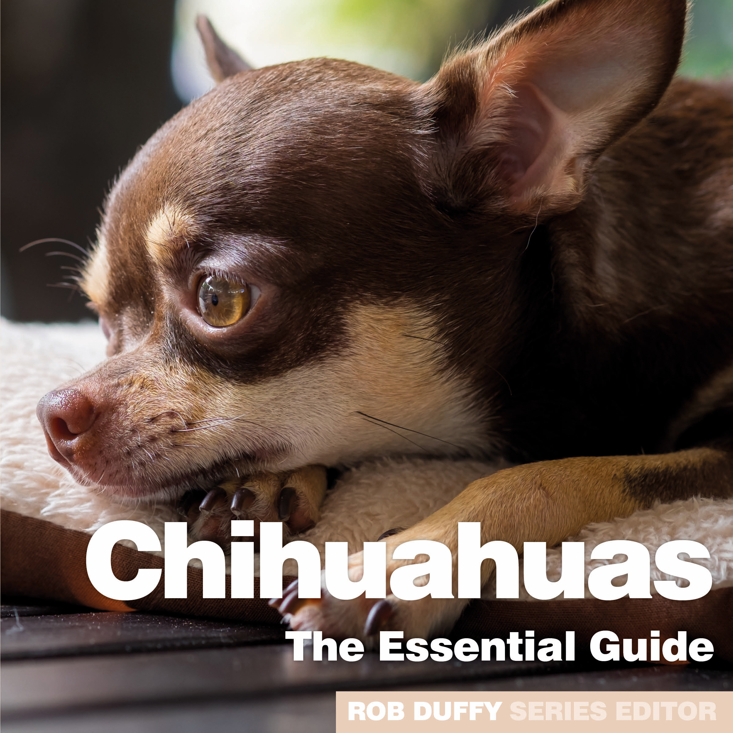 D22_Chihuahuas - The Essential Guide_COVER