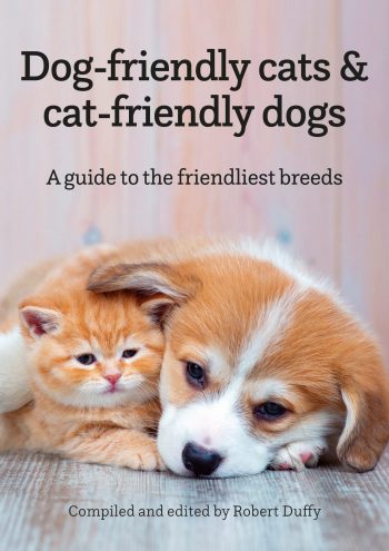 Dog-friendly Cats & Cat-friendly Dogs A Guide To The Friendliest Breeds