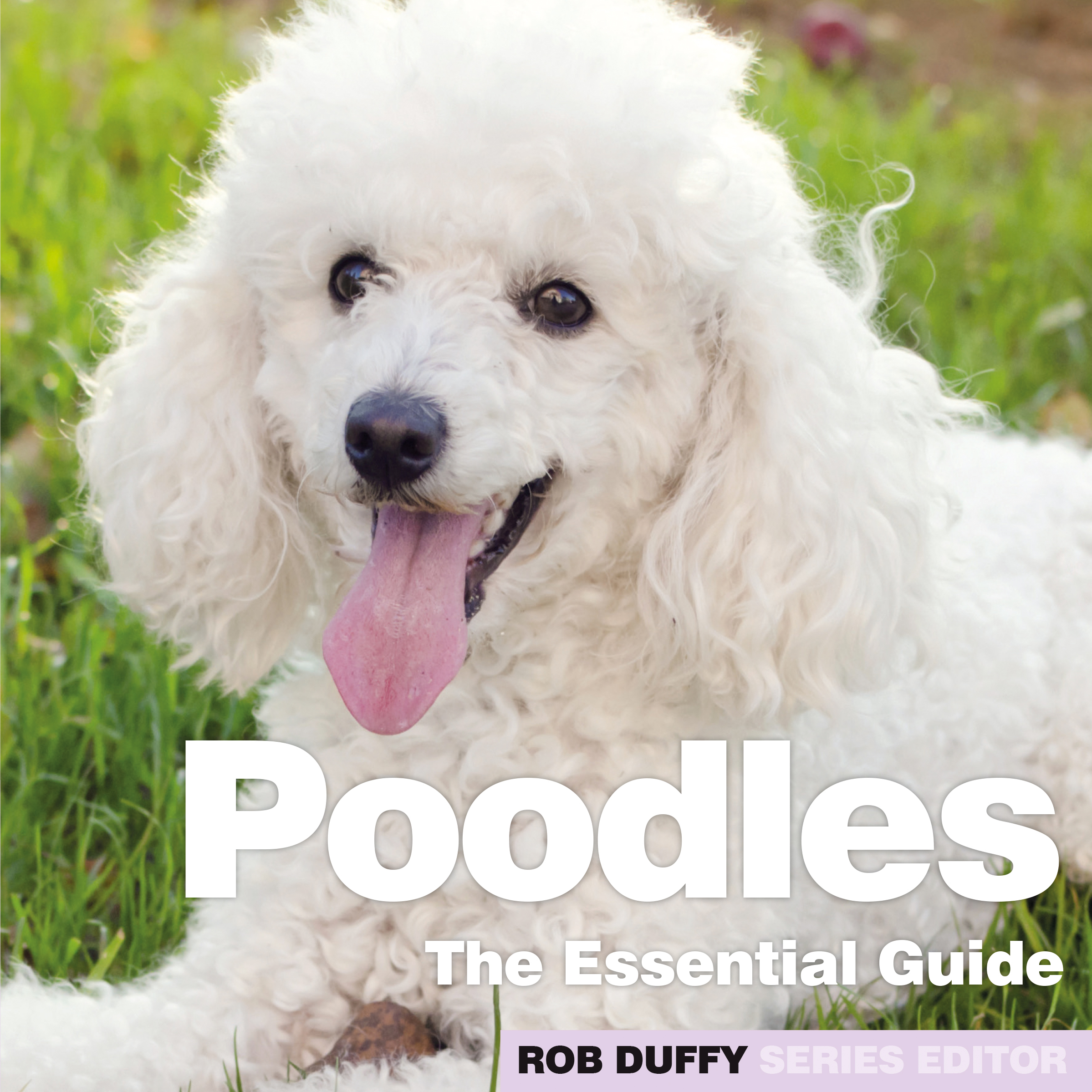 D28_Poodles - The Essential Guide_FRONT COVER Poodles Essentials Guide