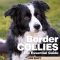 Popular Breeds in UK